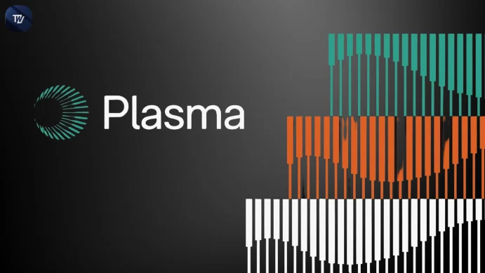 Plasma
