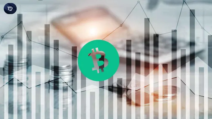 Bitcoin Cash
