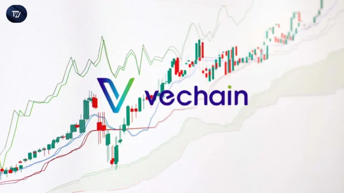 vechain
