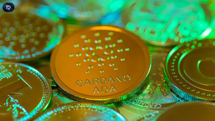 Cardano