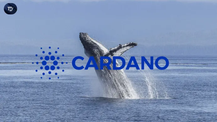 Cardano