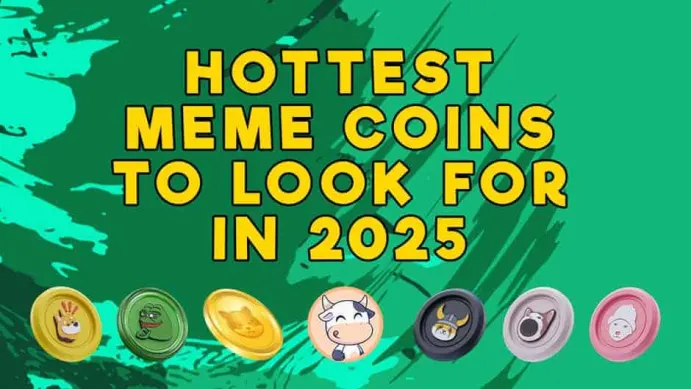 Meme Coins