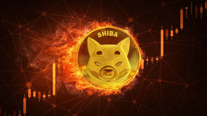 shiba inu