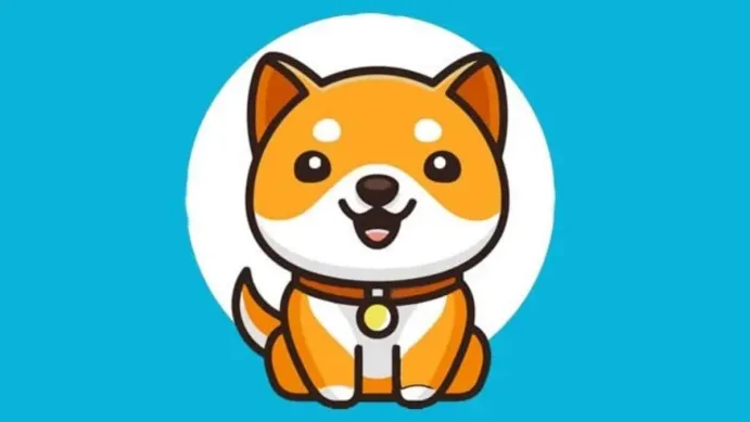 BabyDoge coin