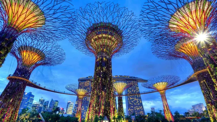Trading For Crypto Newbies Made Easier With Singapore-Based Trading Bot