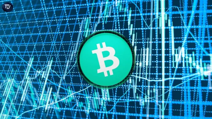 Bitcoin Cash