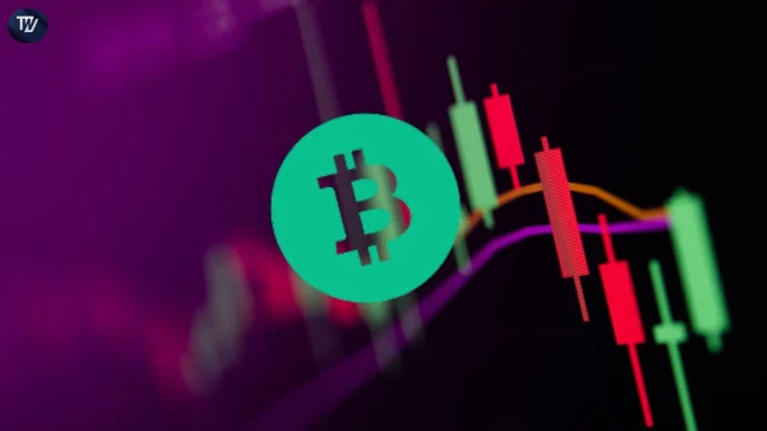 Bitcoin cash