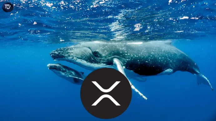 xrp