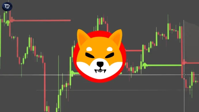 Shiba Inu