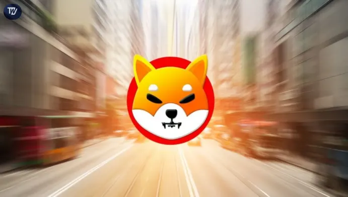 Shiba Inu Dream
