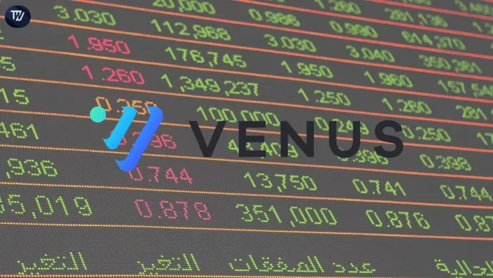 Tokenized Stocks