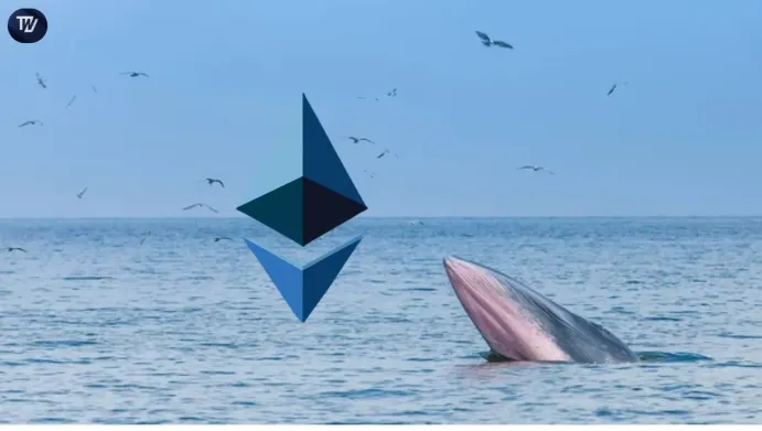 ETH Whales