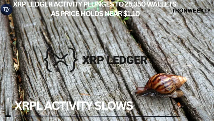 XRP Ledger