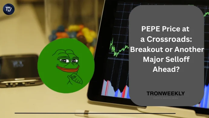 PEPE Price
