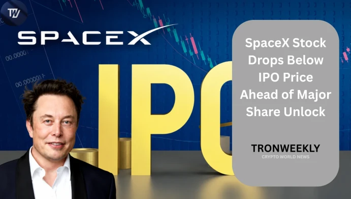 SpaceX Stock