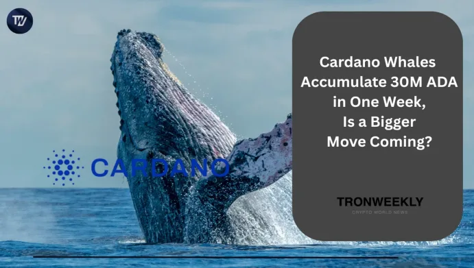Cardano