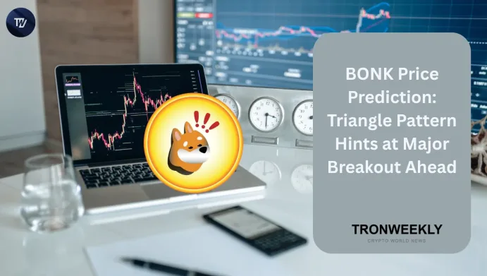 BONK price