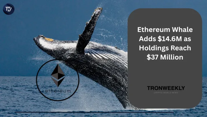 Ethereum