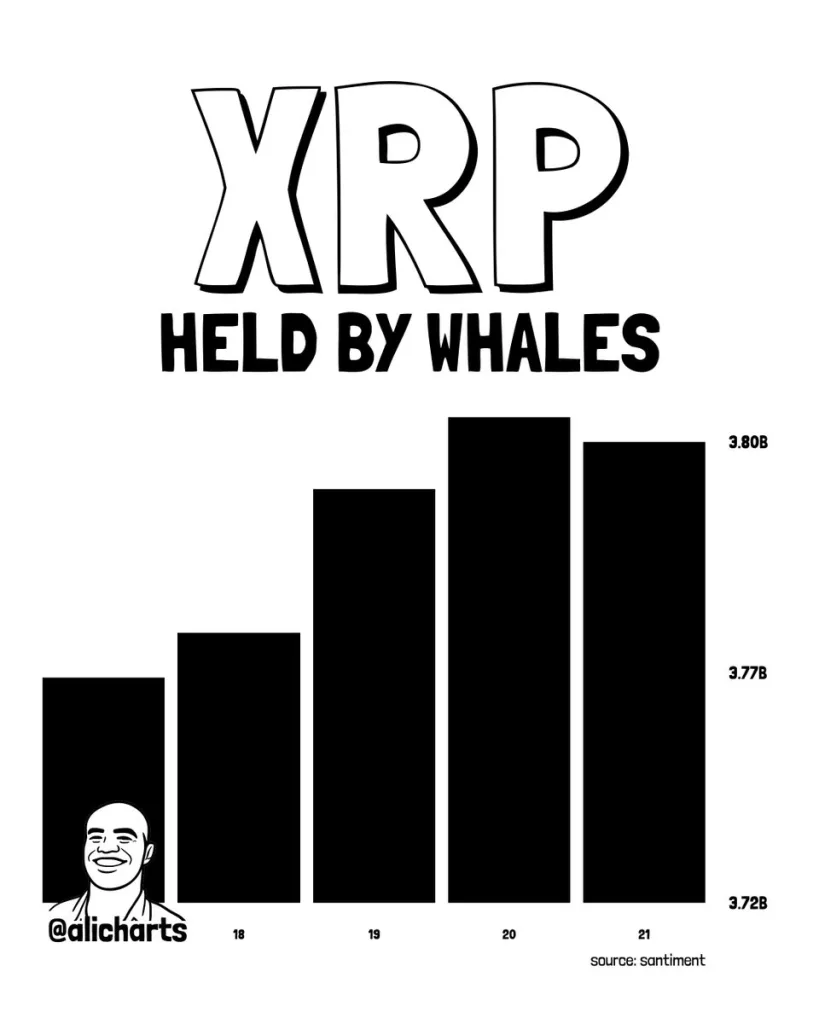 XRP Whales Holdings