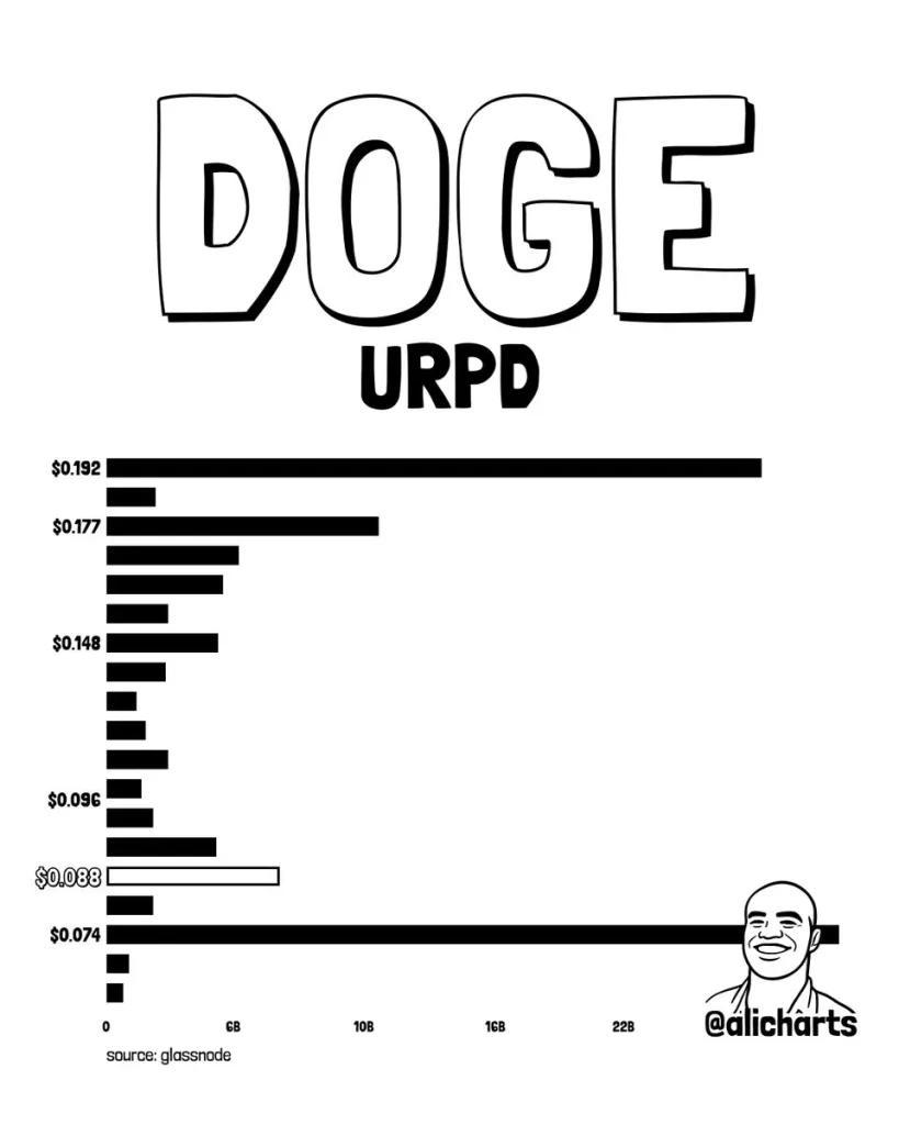 DOGE Price Prediction