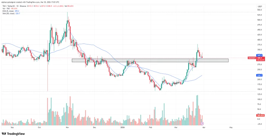 TAO Bullish breakout retest chart