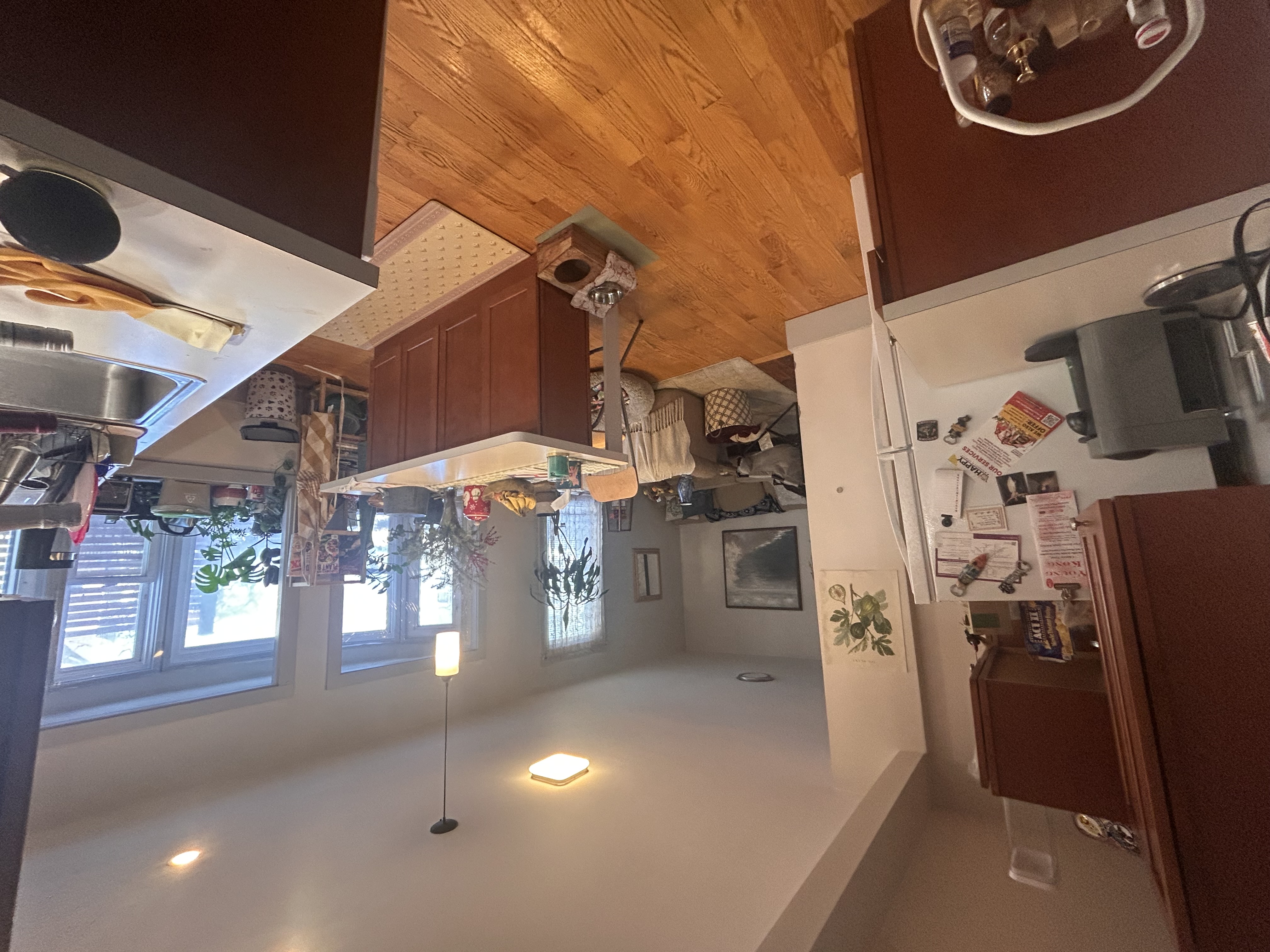 Need a sublet for my room in J.P.! 