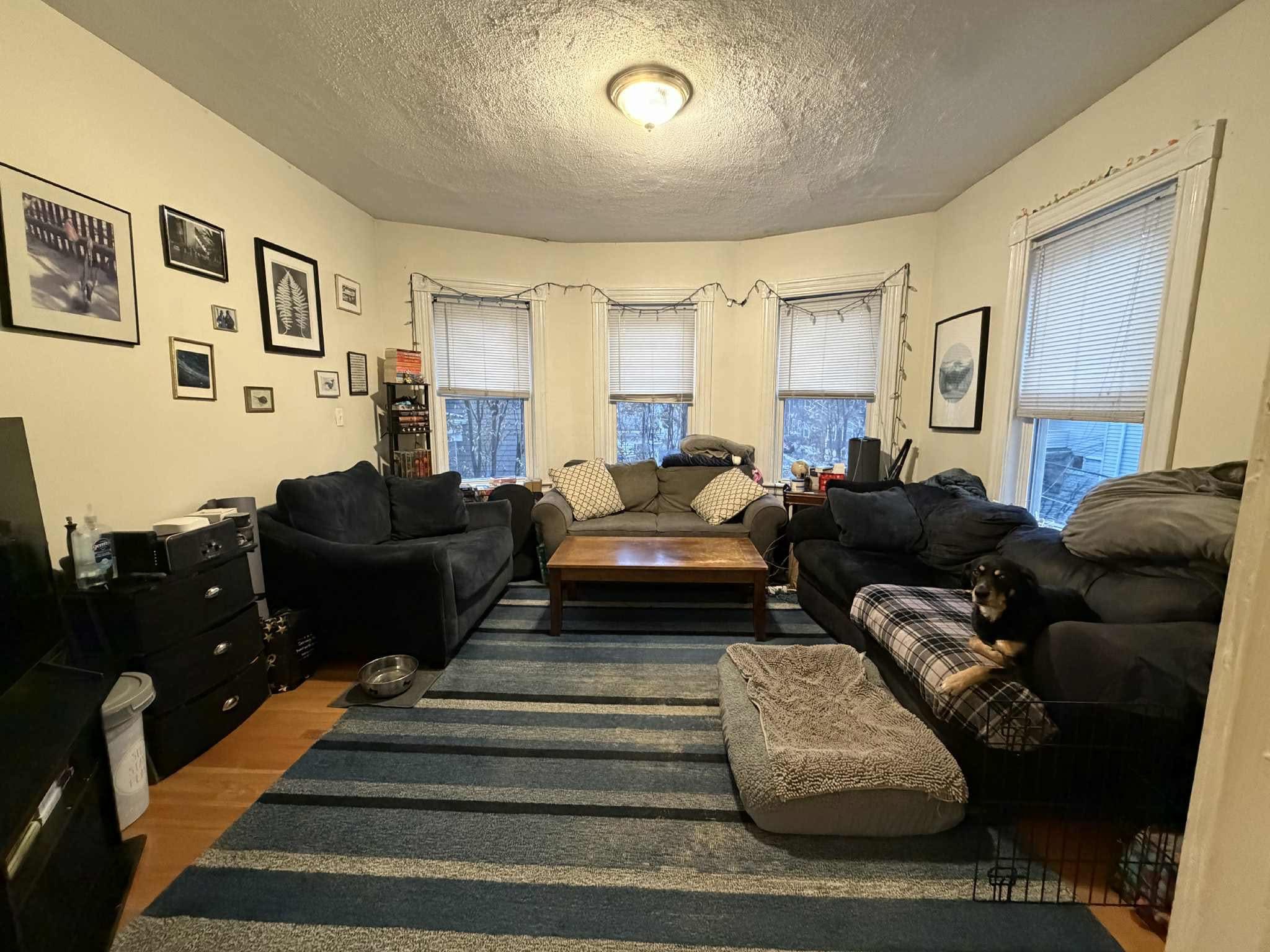 Sunny One Bed in Porter Square – Private Bath + Great Location  