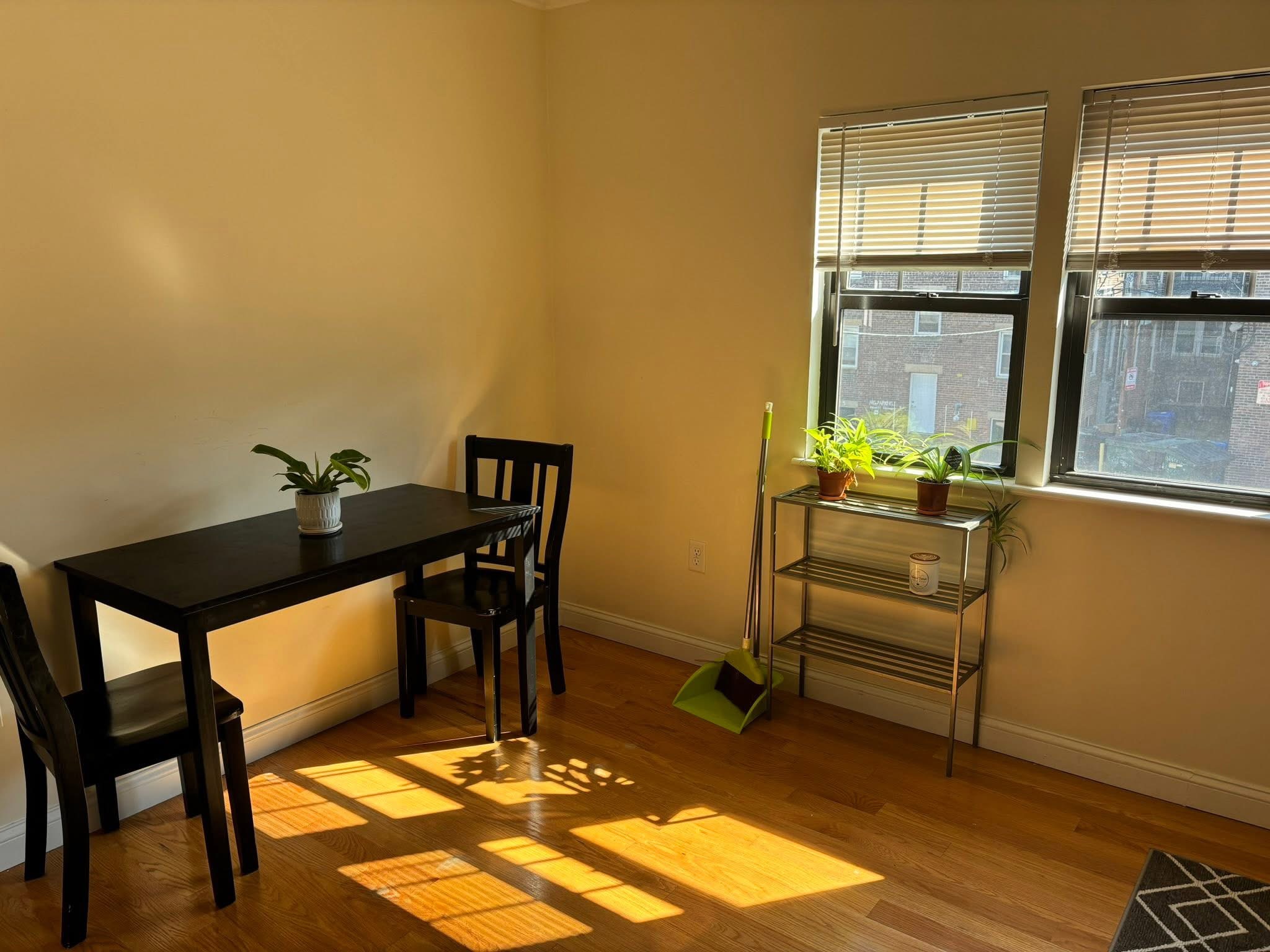Private Room in Allston – Steps to Harvard Ave (Green Line B) 