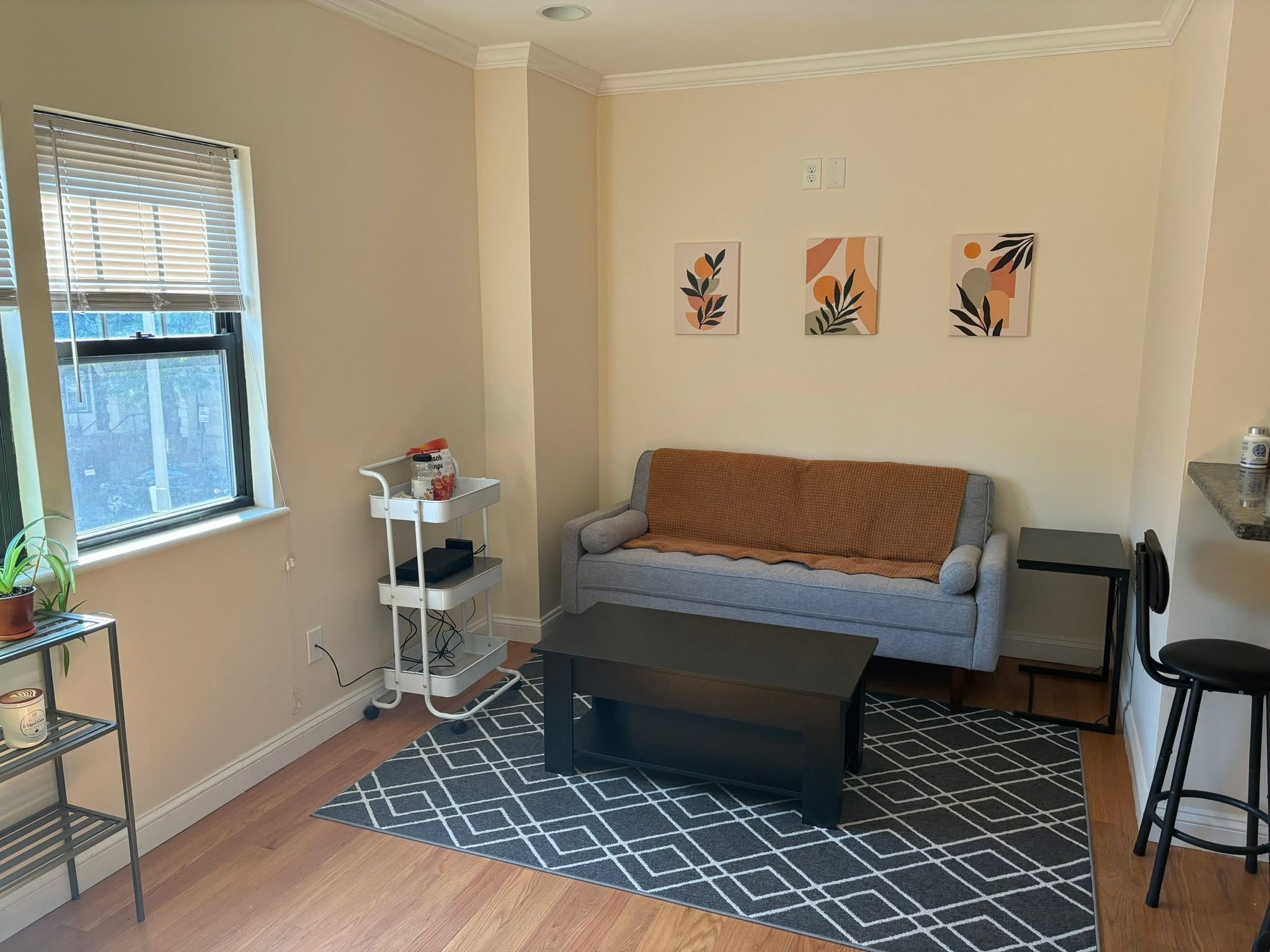 Private Room in Allston – Steps to Harvard Ave (Green Line B) 