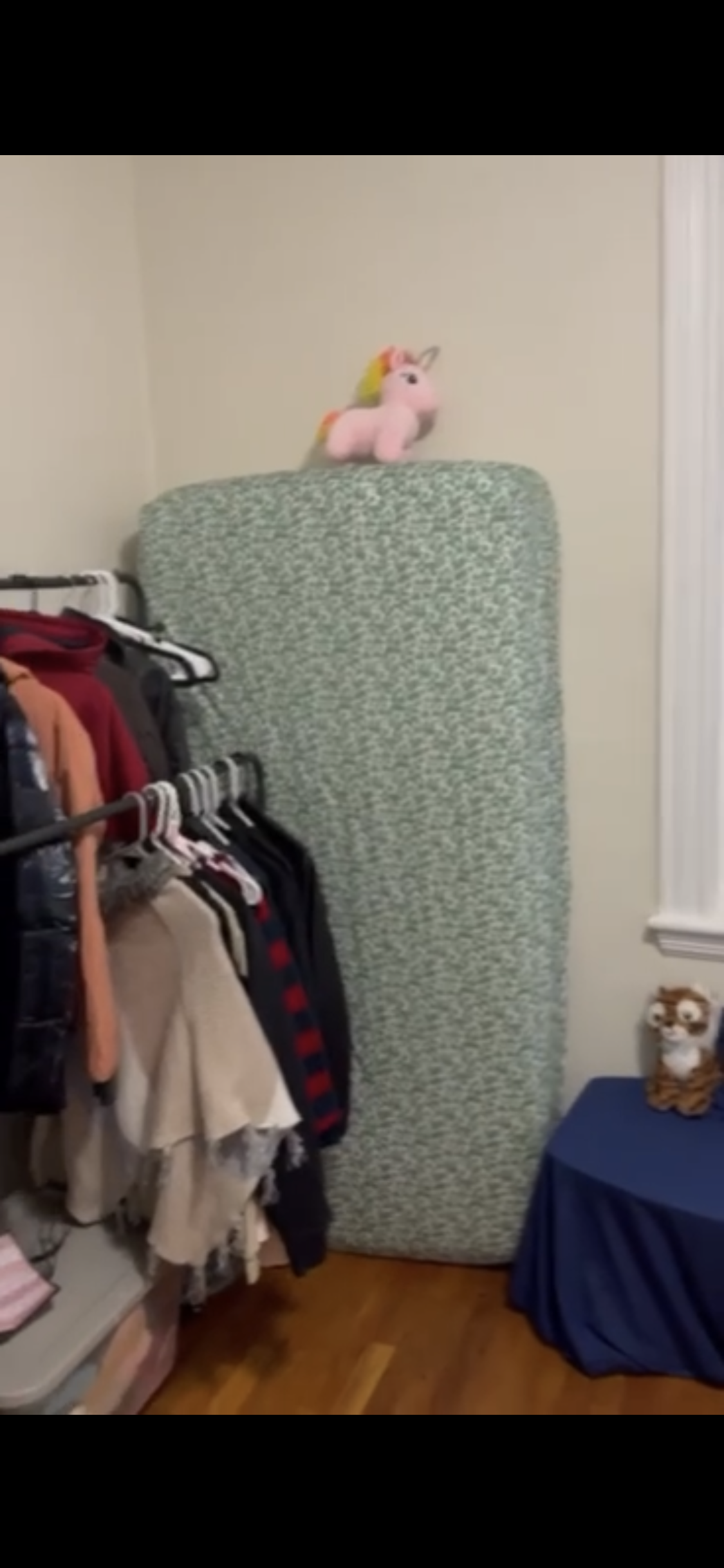 1 BED available in Commonwealth 