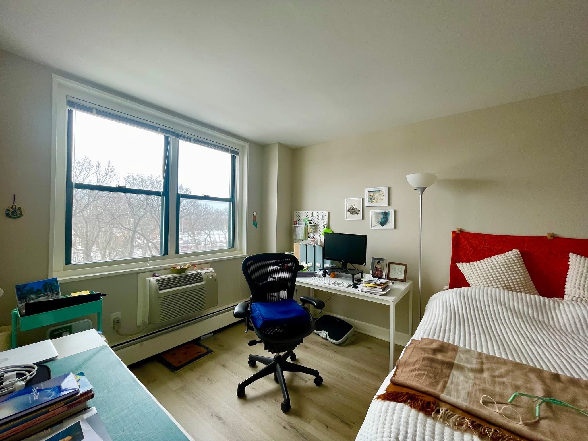 Sunny Room in 2BR Near Fresh Pond – (Cambridge)