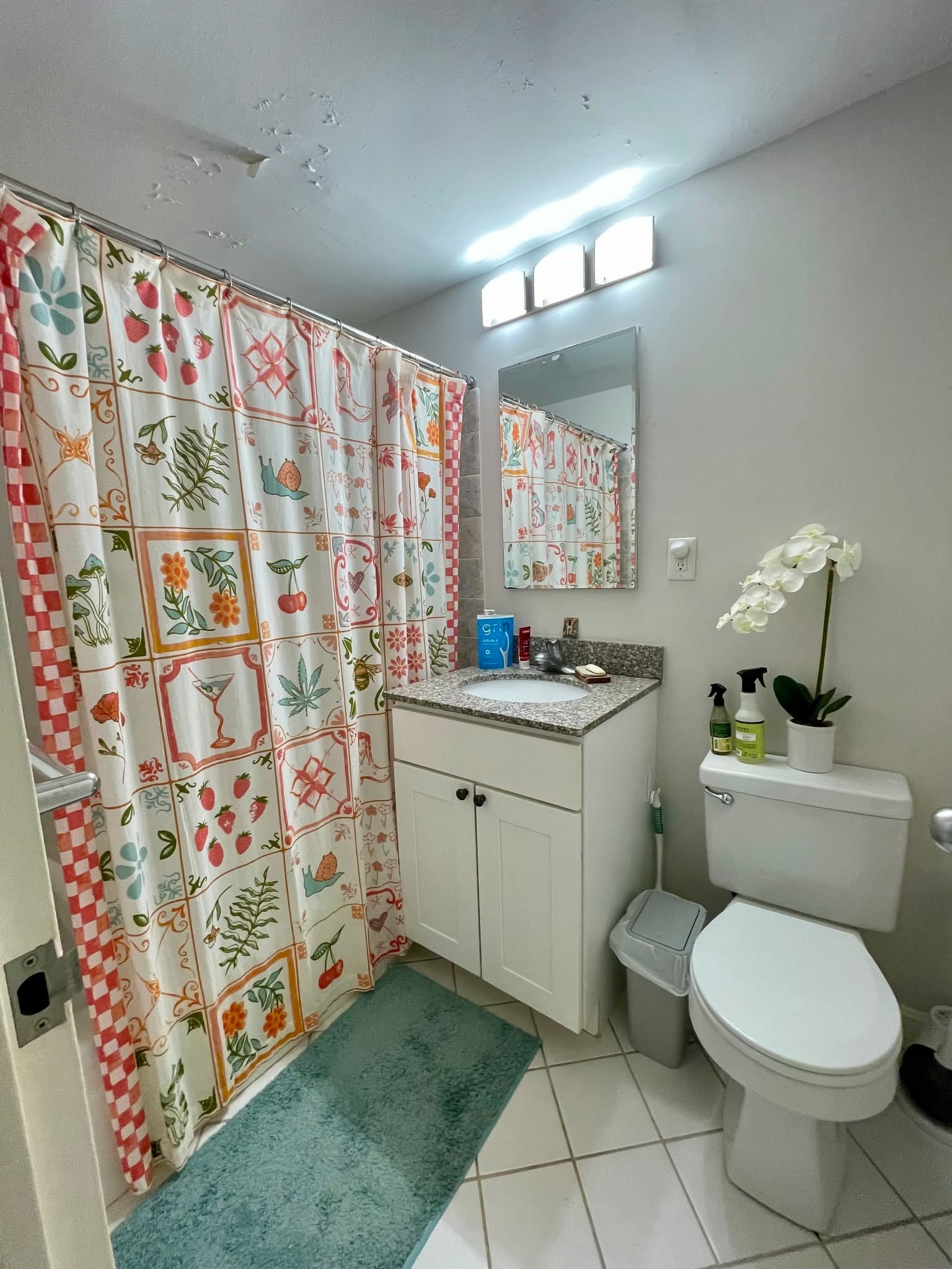 Sunny Room in 2BR Near Fresh Pond – (Cambridge)