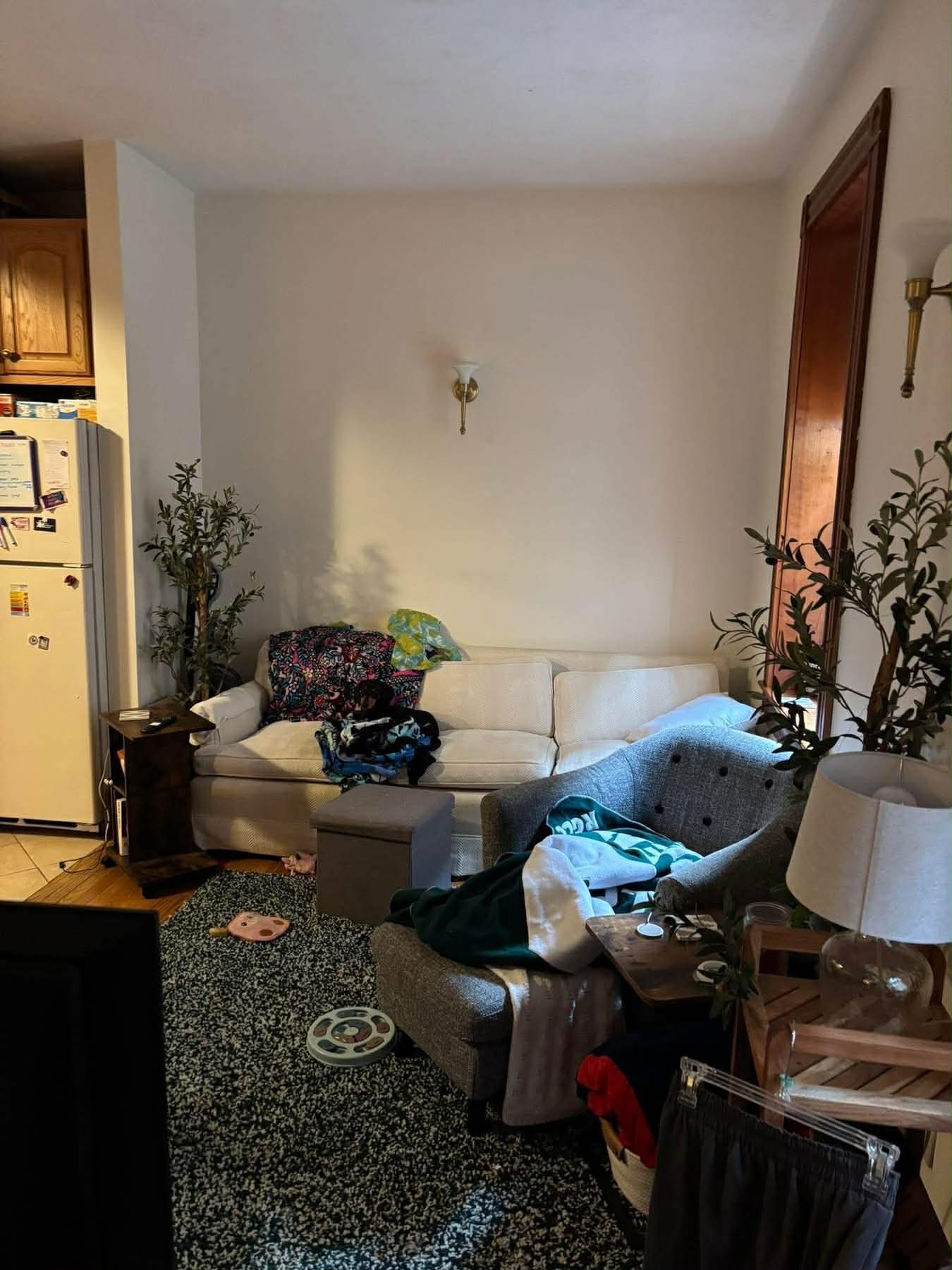 Sunny 2BR/1BA Sublet on Charming Myrtle St – Flexible Term