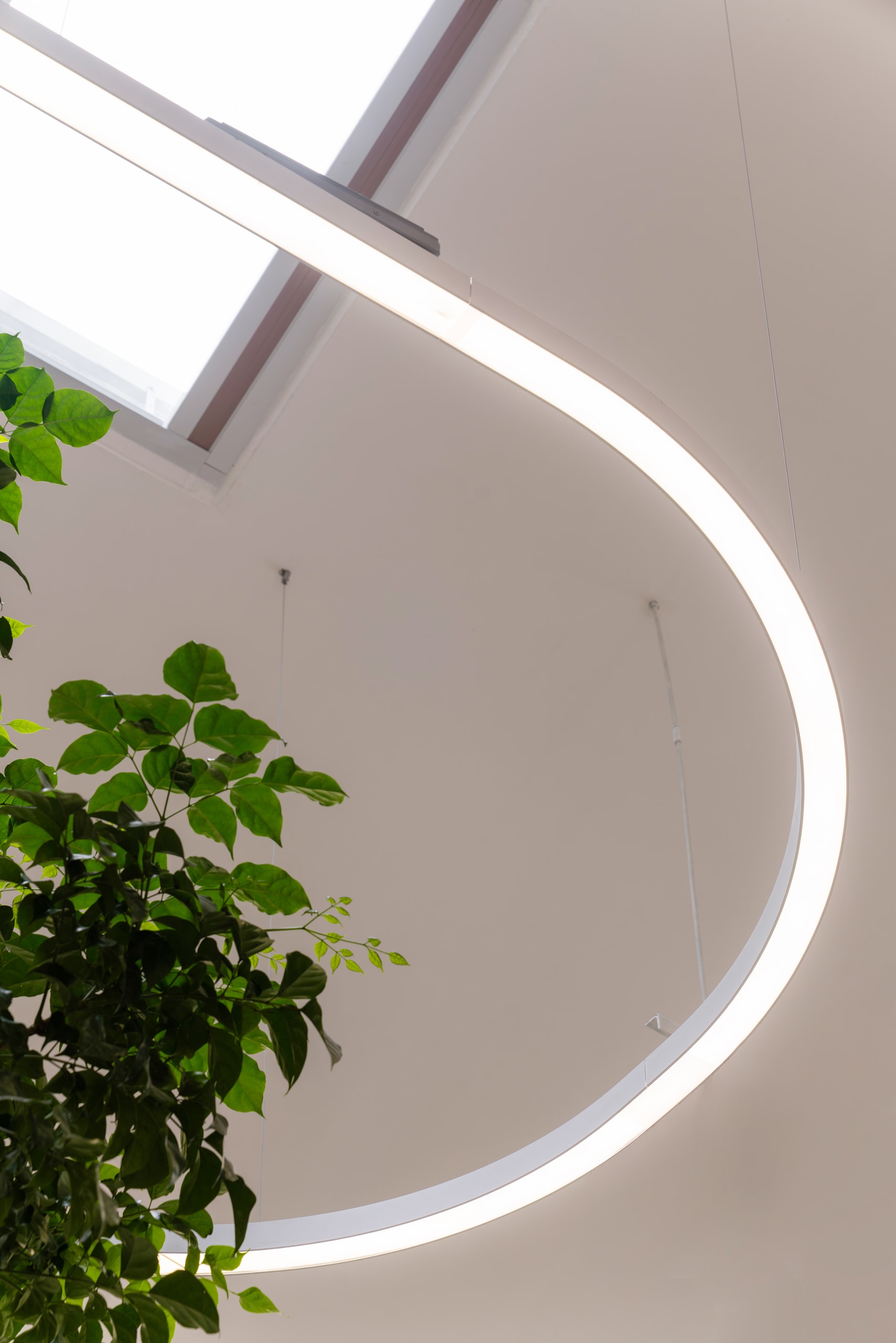 SYN.ER.GY Office - Image 8