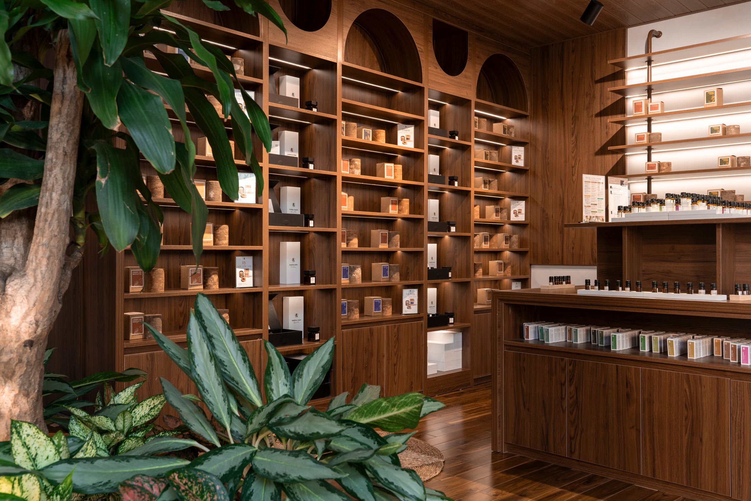 Le Rustigue - Image 9