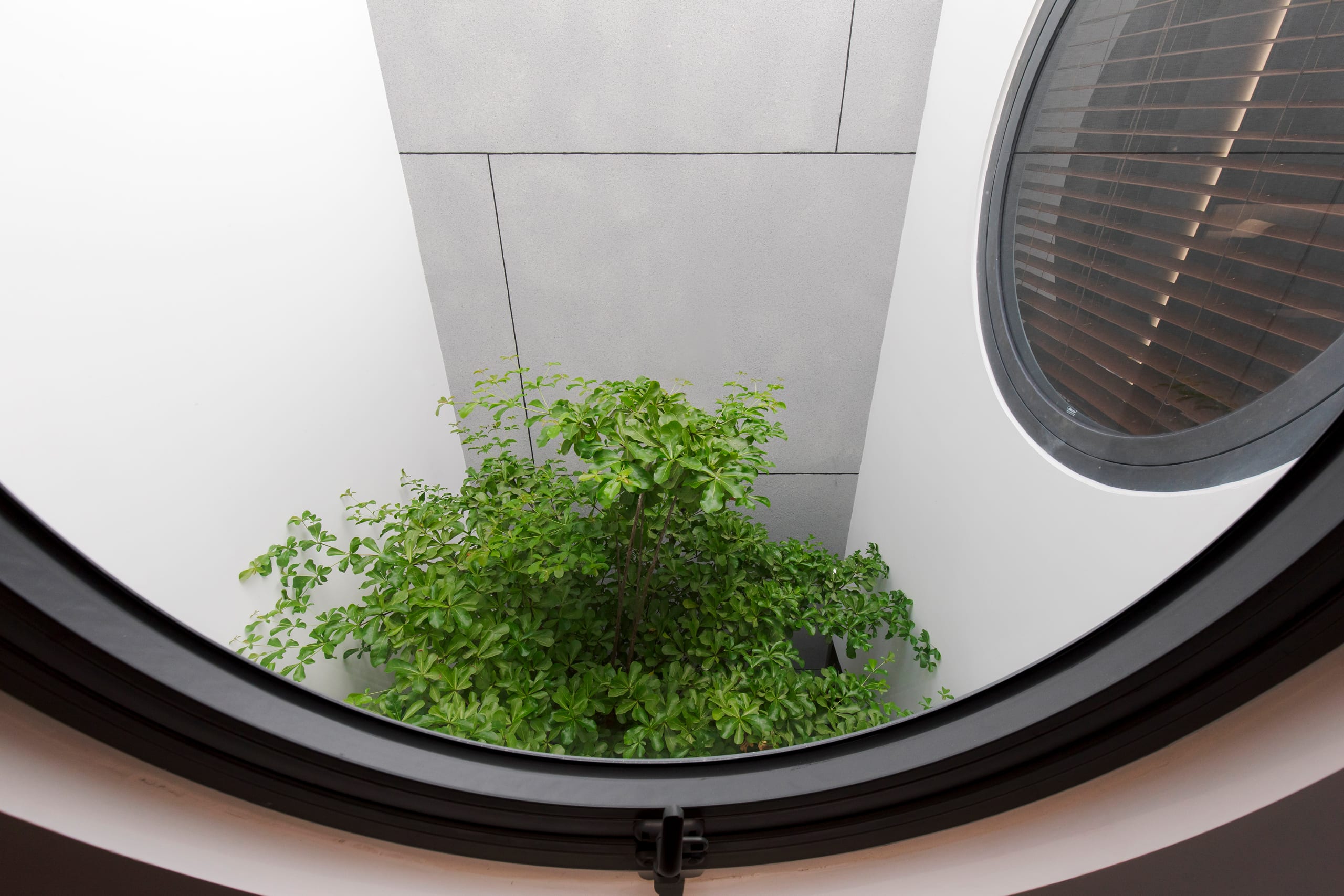 Coca House - Image 15