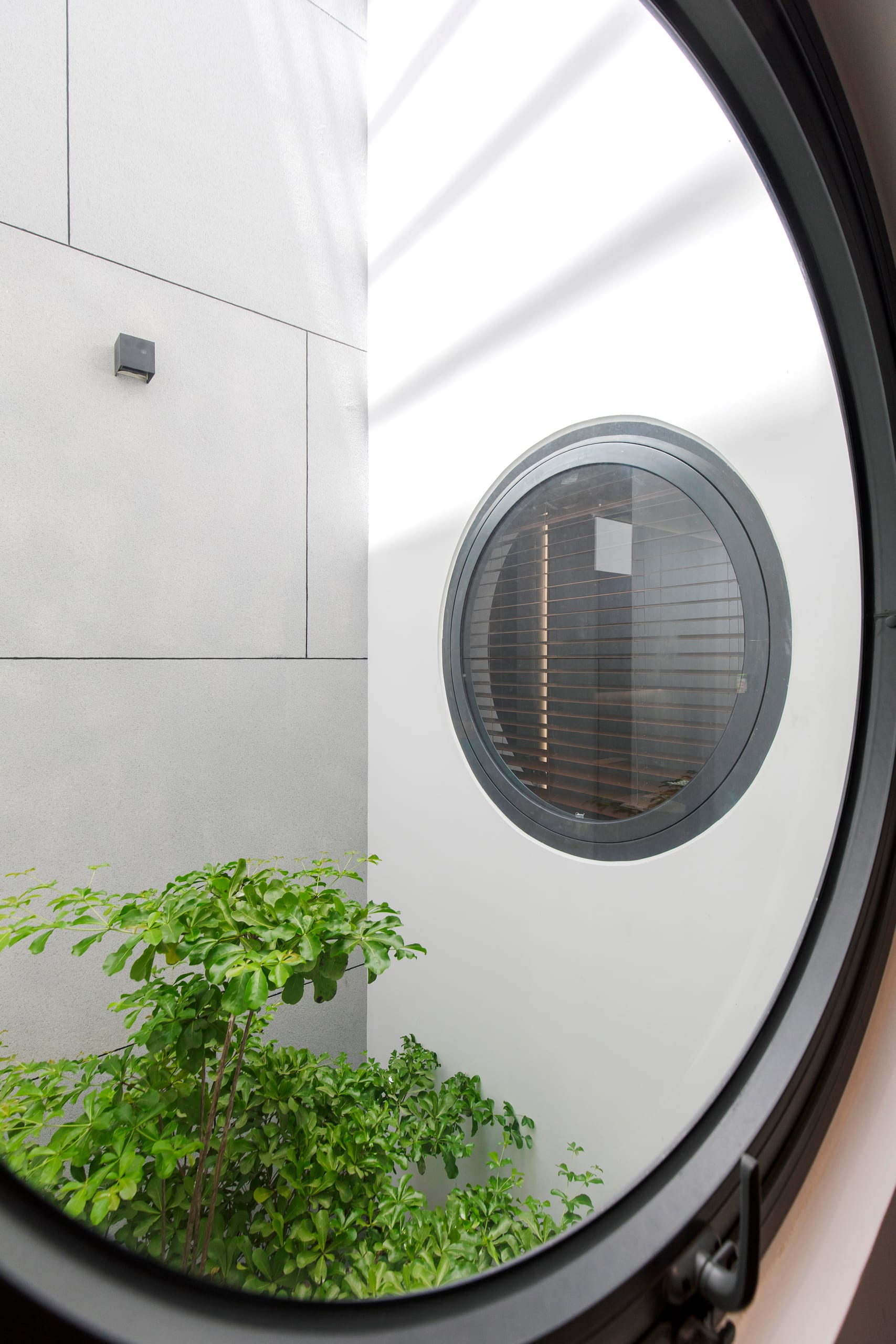 Coca House - Image 16