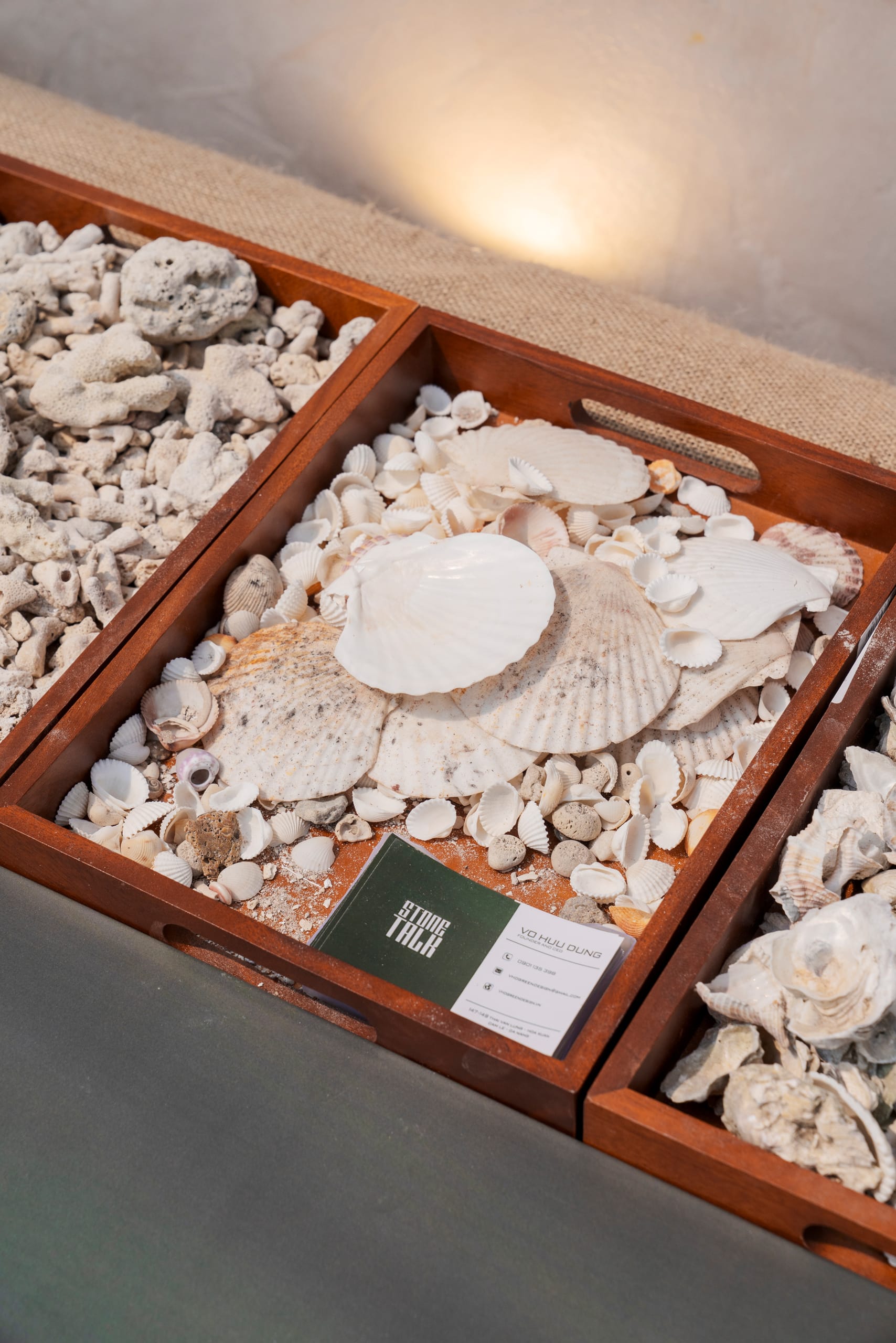 RA MẮT BỘ SƯU TẬP - Image 15