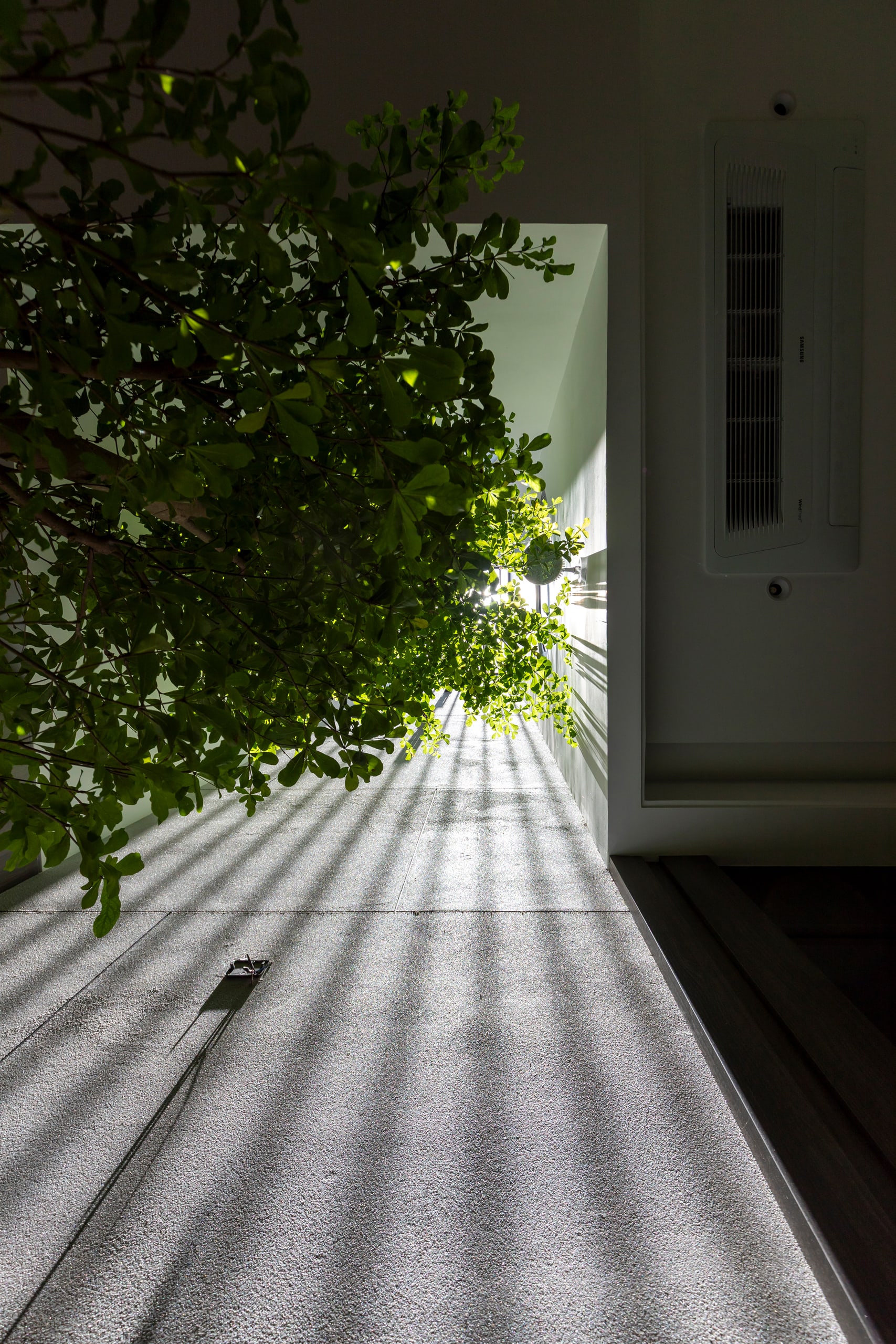 Coca House - Image 1