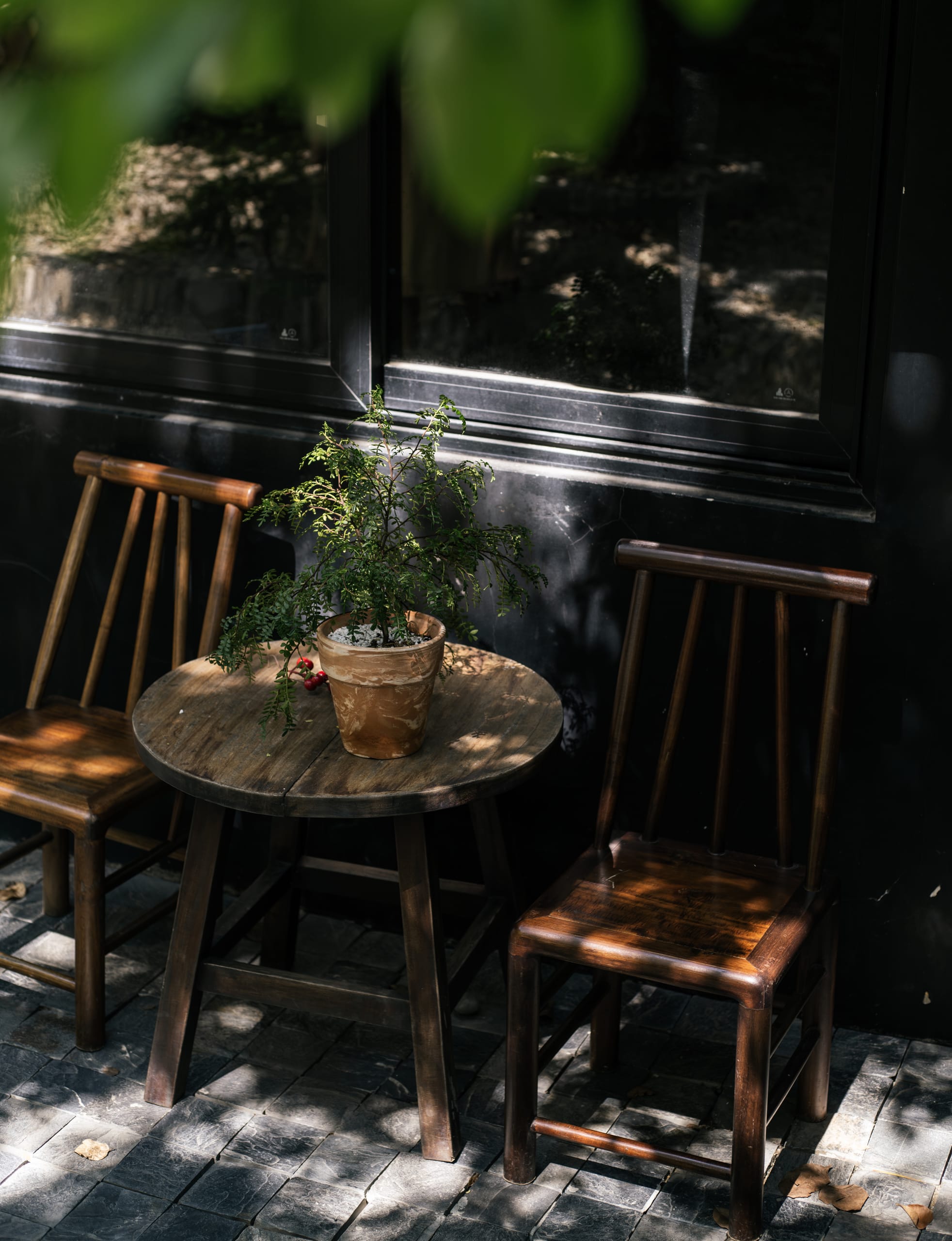 Hichi Coffee - Image 10