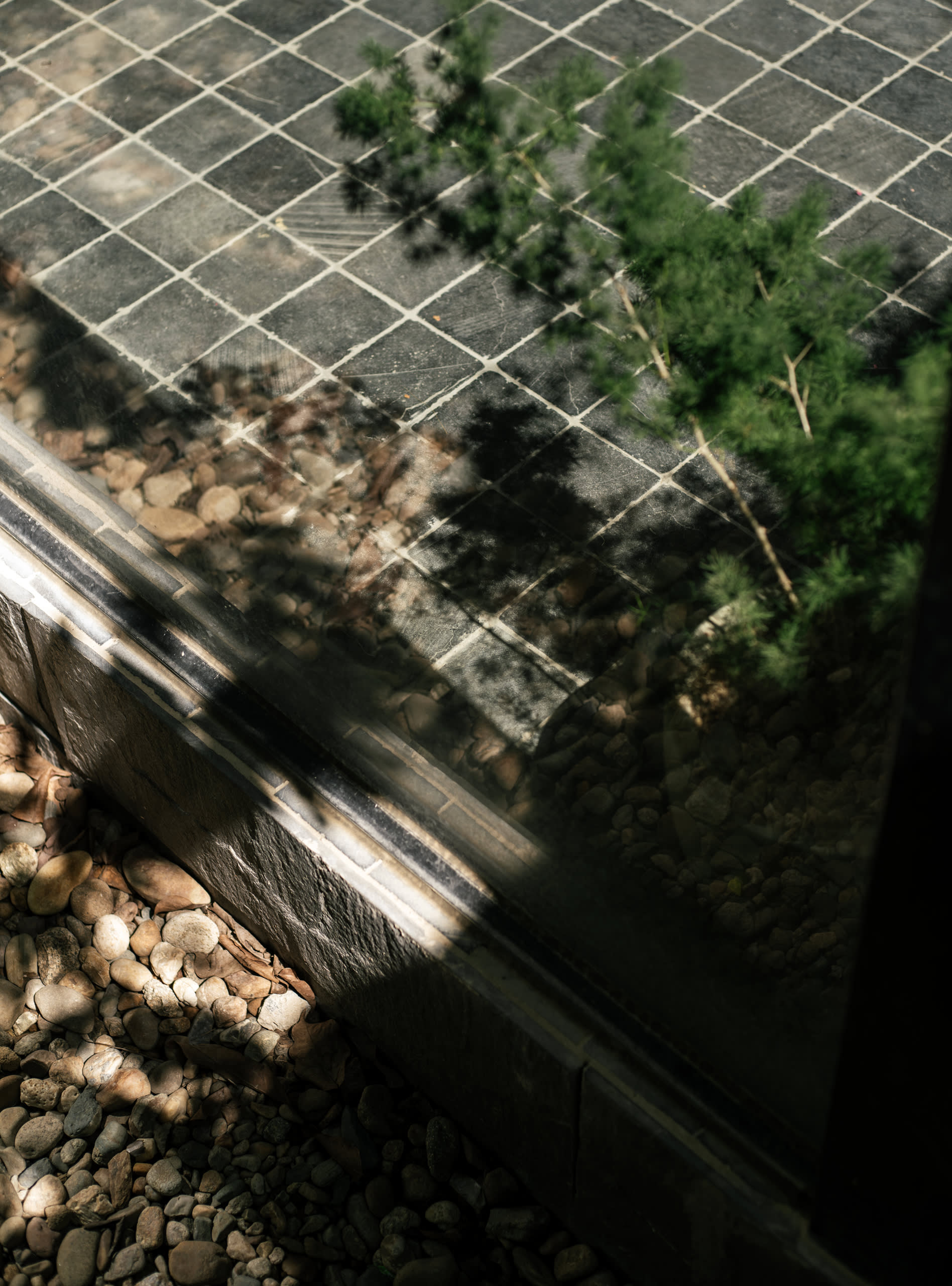 Hichi Coffee - Image 15