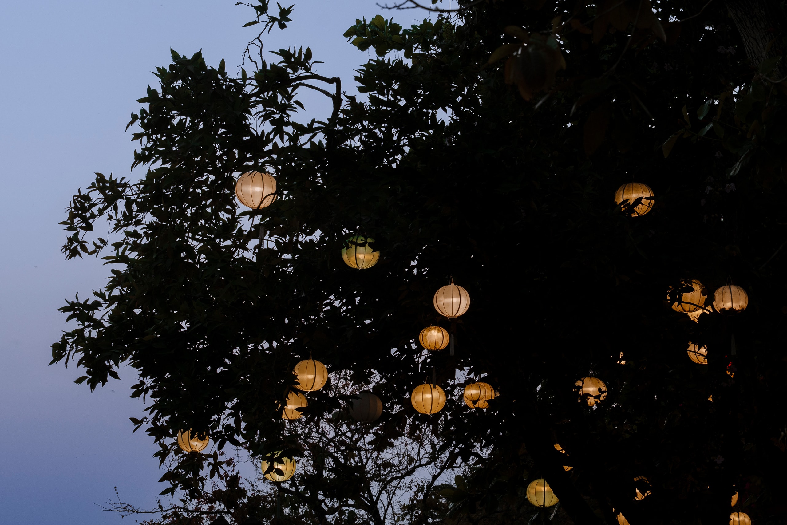 Lồng đèn Hội An - Image 12