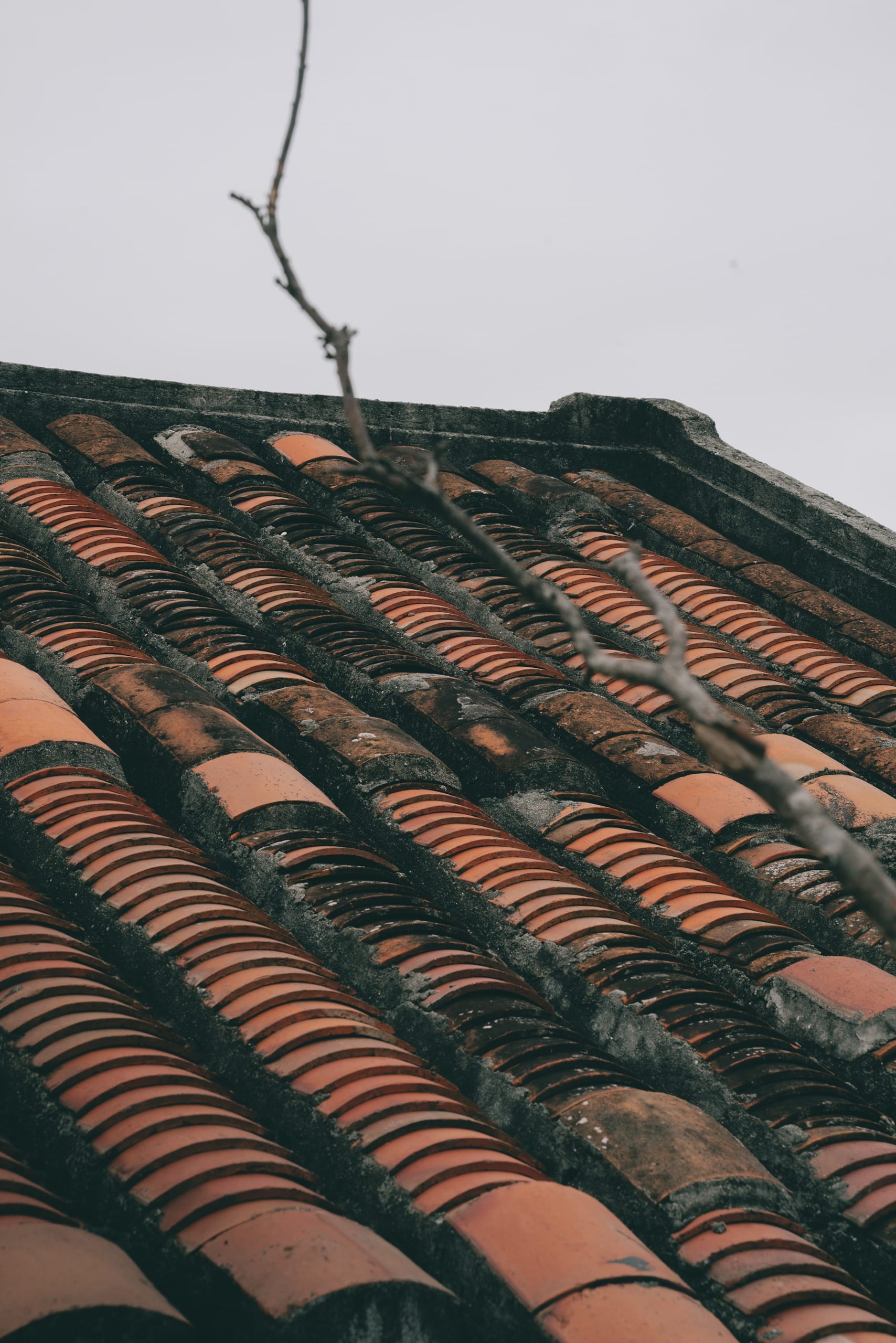 Mái ngói Hội An - Image 6