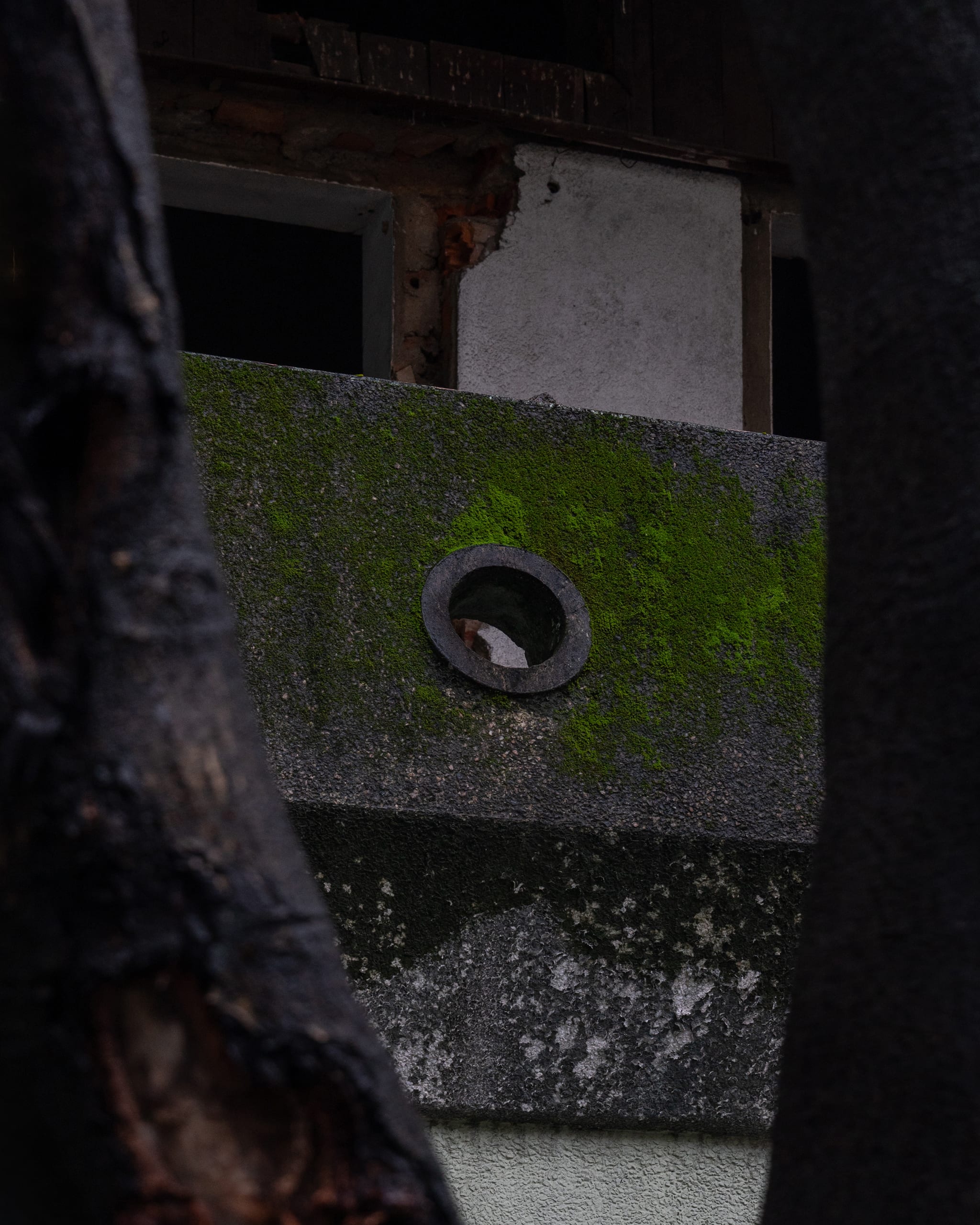 Sân vận động Chi Lăng - Image 12