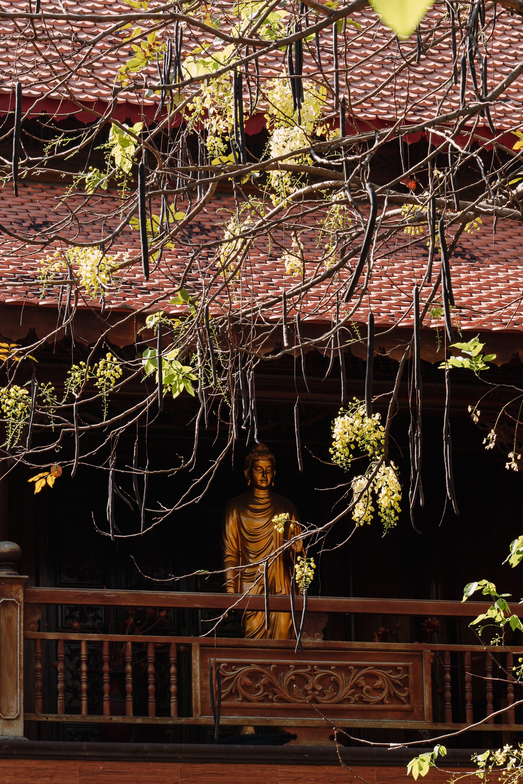 Chùa Bửu Long - Image 11