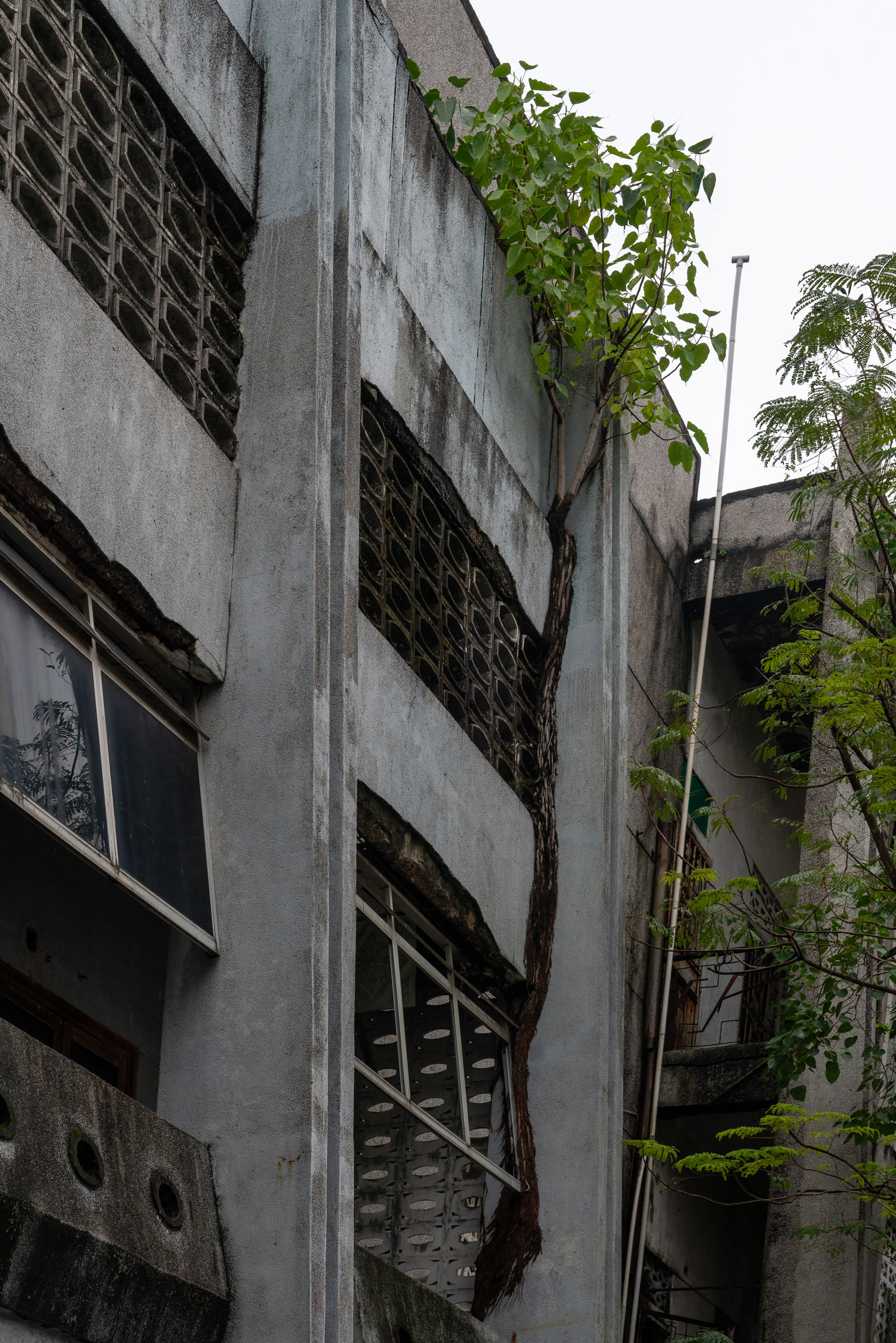 Sân vận động Chi Lăng - Image 11