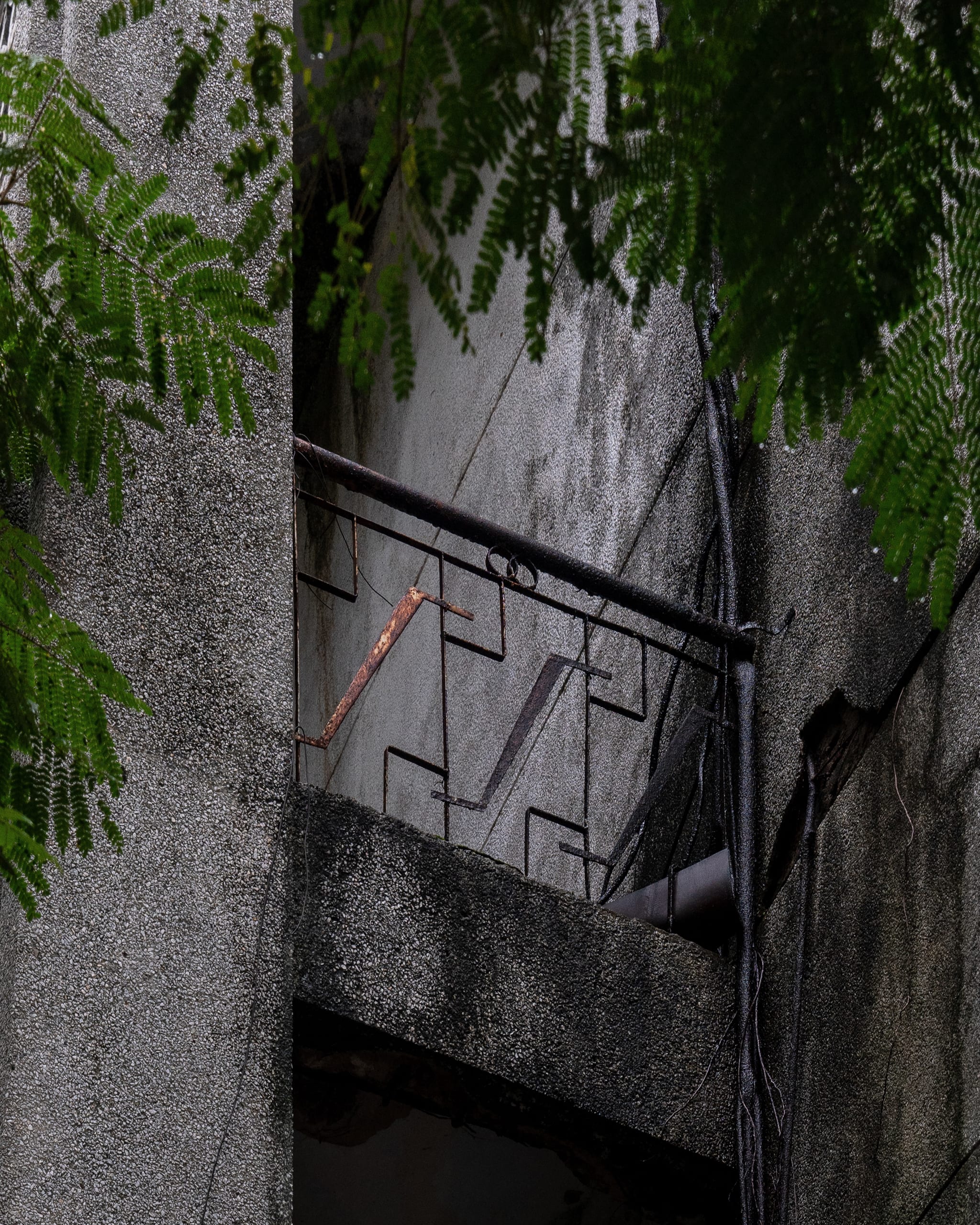 Sân vận động Chi Lăng - Image 13