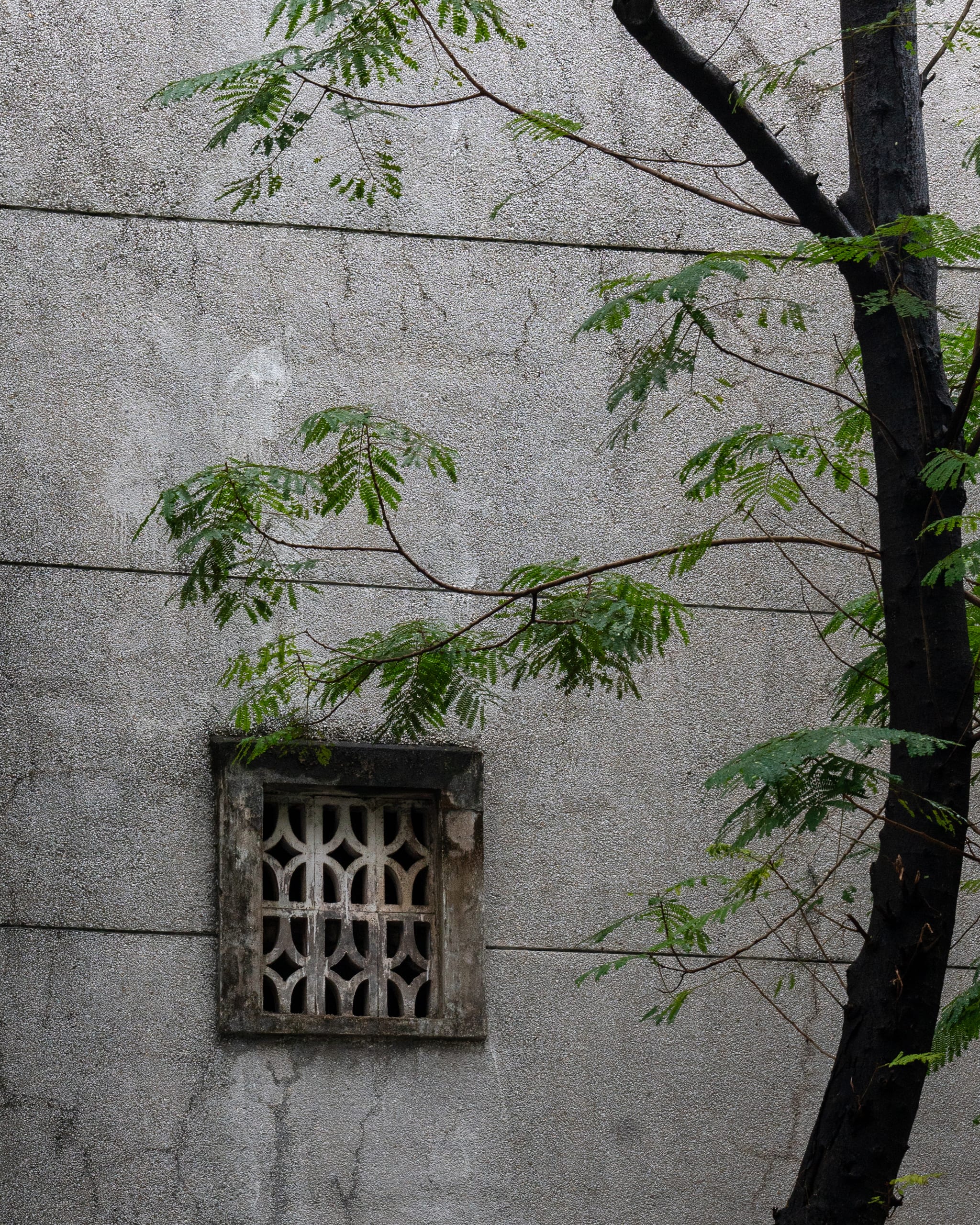 Sân vận động Chi Lăng - Image 8