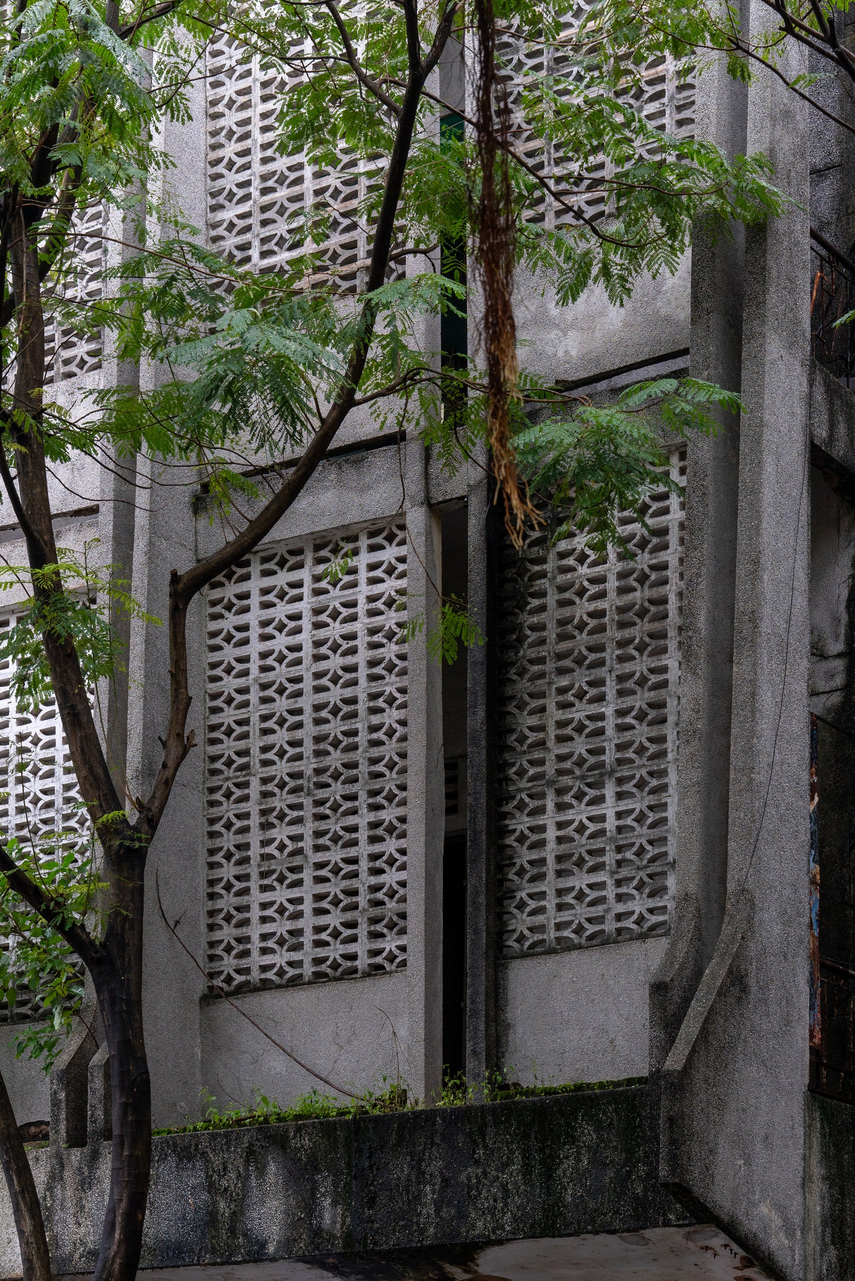 Sân vận động Chi Lăng - Image 10