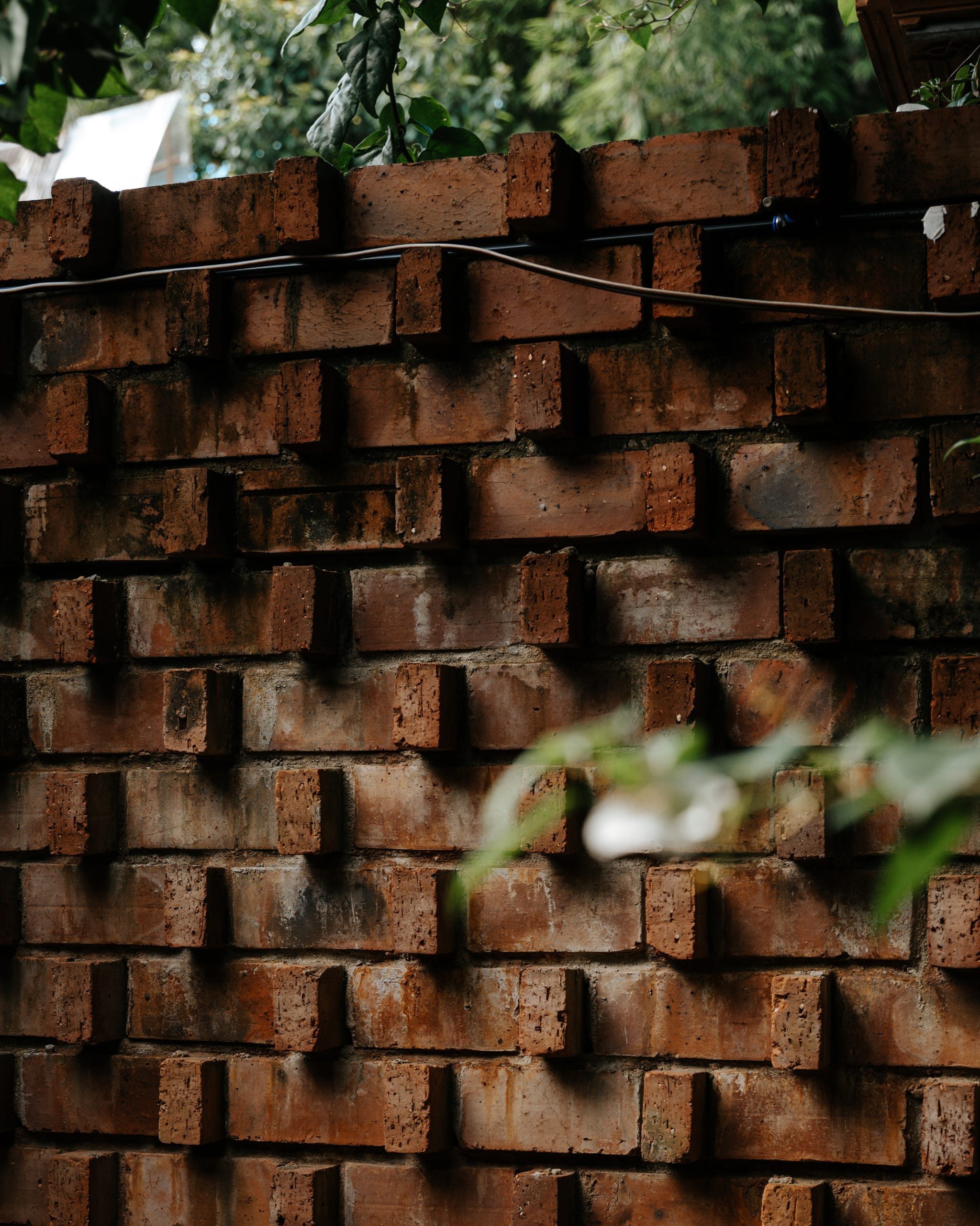 Lia Coffee & Retreat Đà Nẵng - Image 5